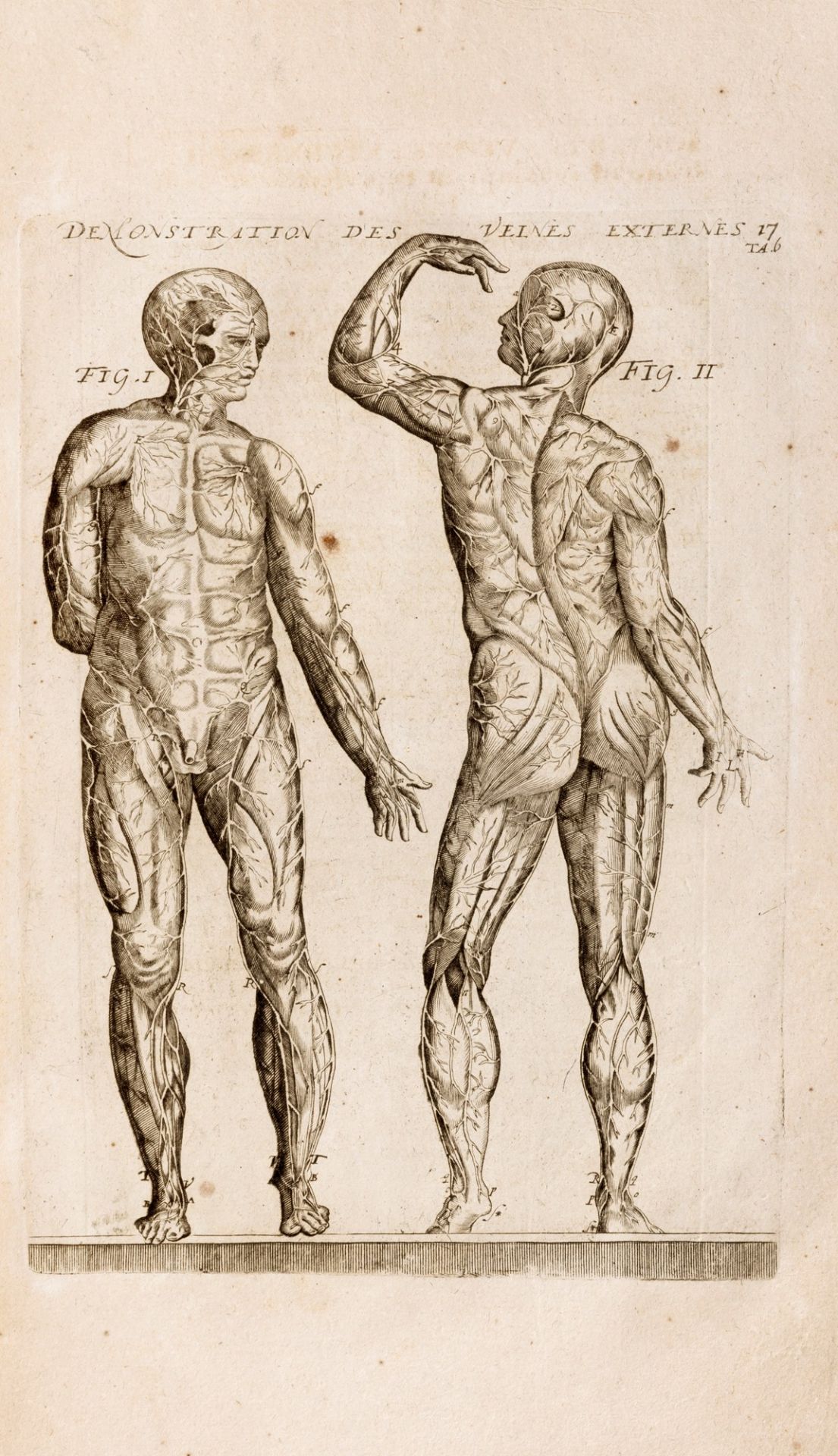 Anatomy - Du Laurent, André - L'anatomie universelle de toutes les parties du corps humain - Bild 2 aus 2