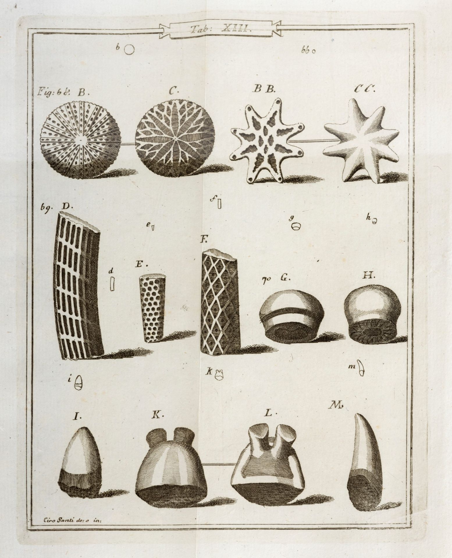 Fossil - Soldani, Ambrogio - Orthographic essay or observations on the nautilitic lands - Image 2 of 2