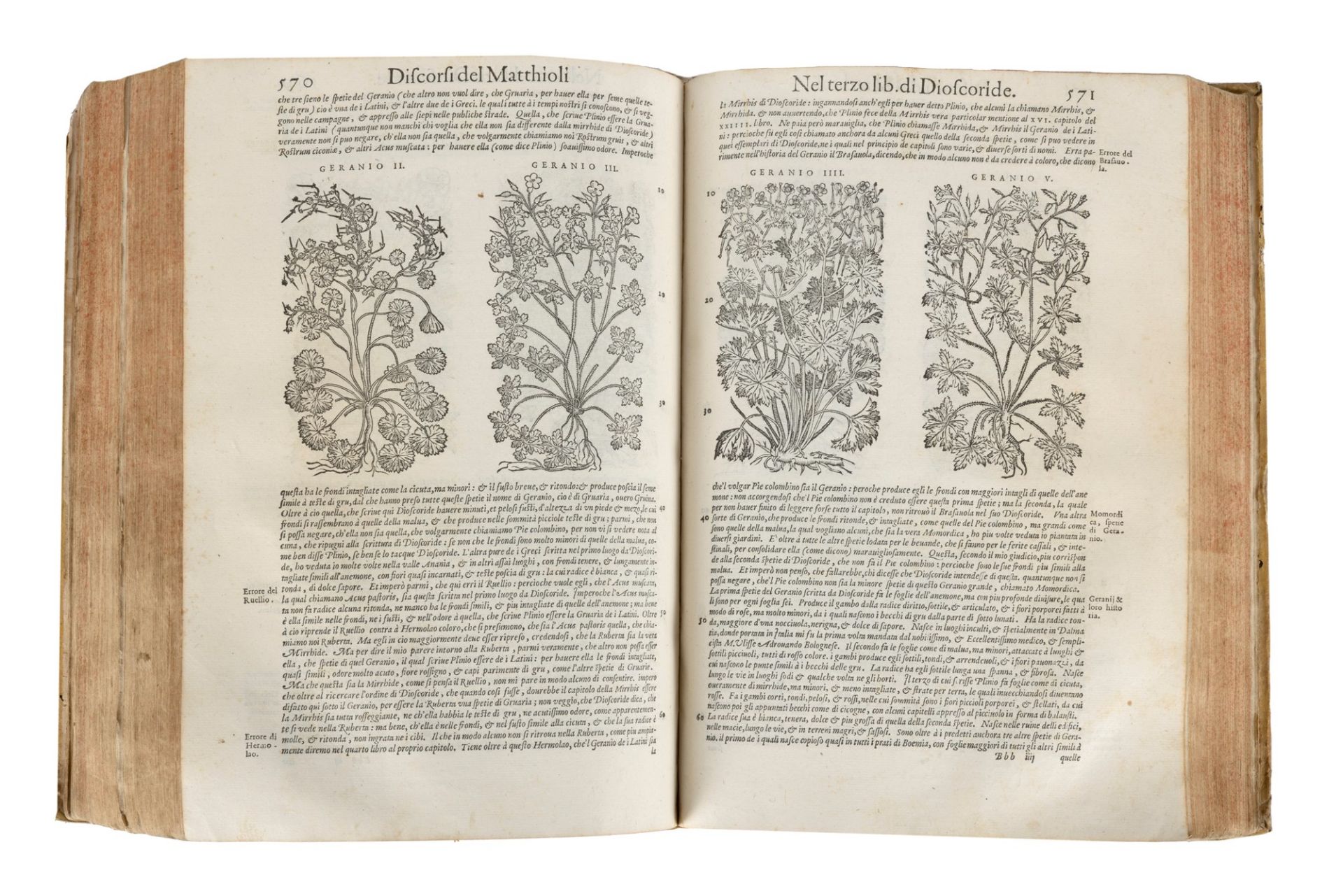 Botany - Medicine - Mattioli, Pietro Andrea - The discourses [...] in the six books of Pedacio Diosc - Image 3 of 3