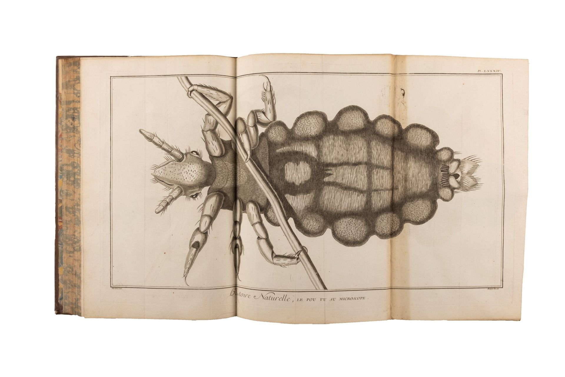 Diderot, Denis - d'Alembert, Jean-Baptiste Le Rond - Encyclopédie, ou Dictionnaire raisonné des scie - Image 13 of 19