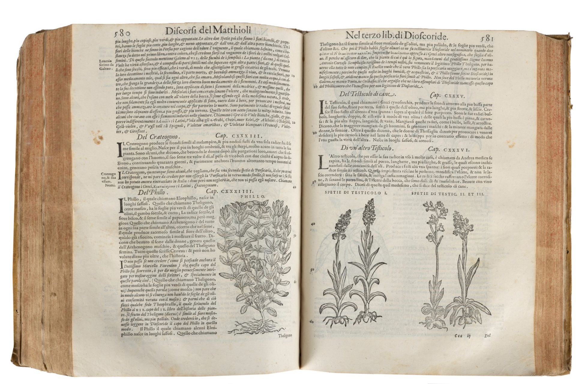 Botany - Medicine - Mattioli, Pietro Andrea - The discourses [...] in the six books of Pedacio Diosc - Image 2 of 3