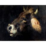 Gianfranco Campestrini (Milano 1901-1979) - Head of a cow