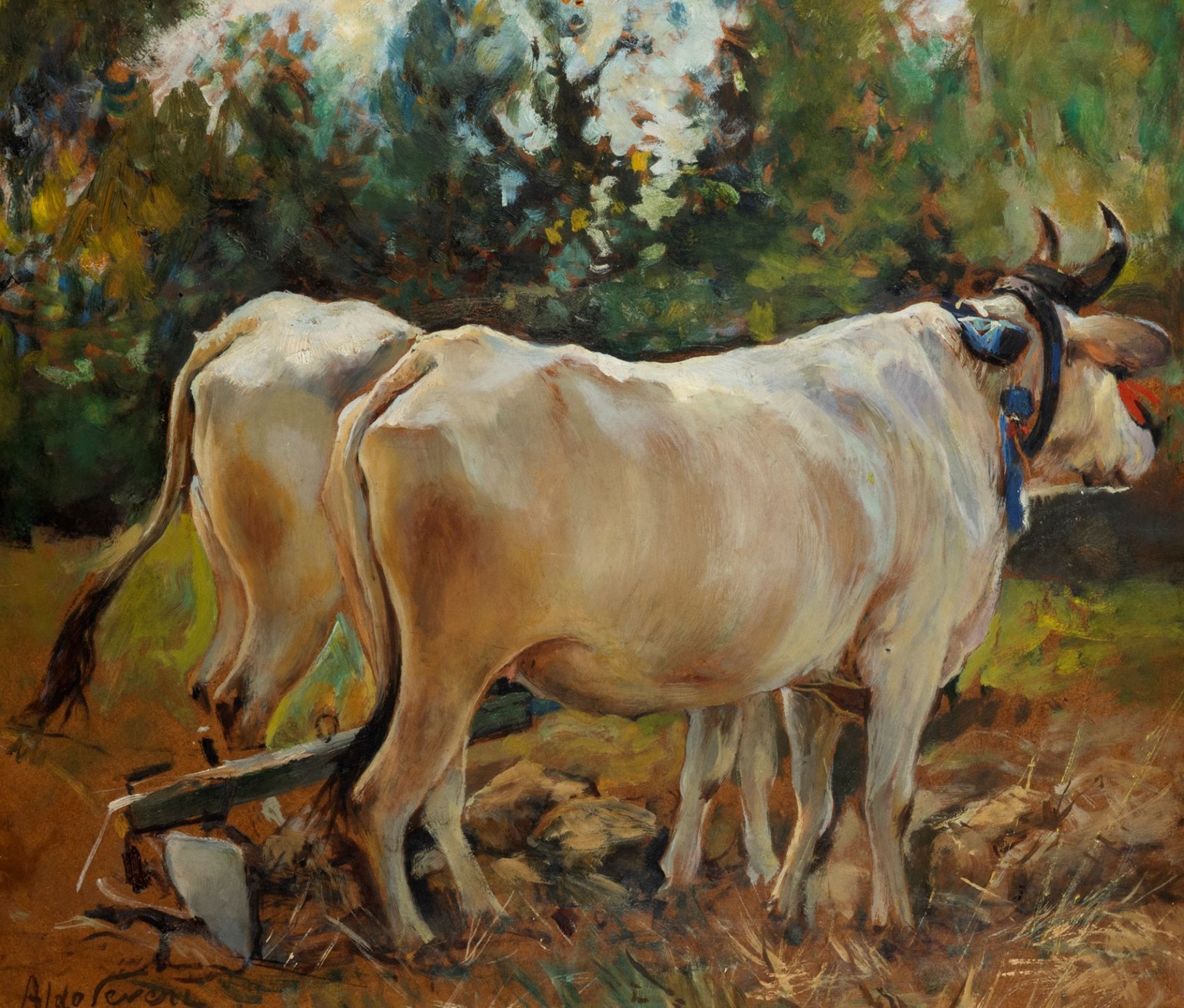 Aldo Severi (Macerata 1876-Roma 1956) - Oxen at the plough