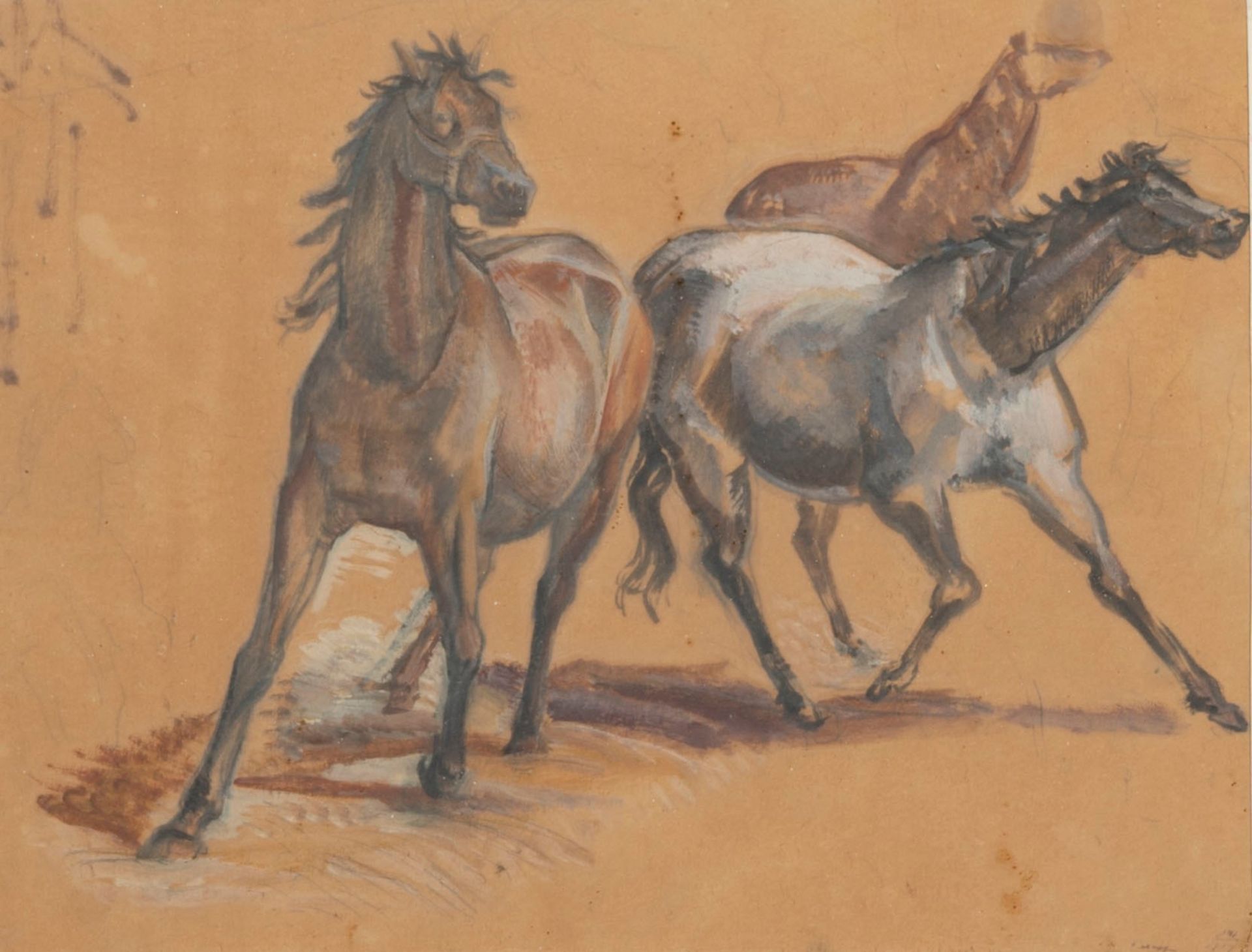 Italian school, XX century - Study of horses - Image 2 of 3