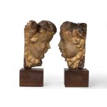 Two profiles of cherubs in carved and gilded wood, 17th century