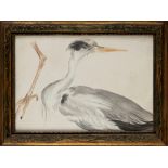 Italian school, XX century - Study for heron