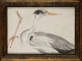 Italian school, XX century - Study for heron