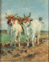 Cipriano Mannucci (Nizza 1882-Firenze 1970) - Oxen