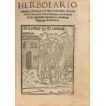 Botany-Medicine-Oenology-Magic - Arnaldo de Vilanova - Vulgar herbolario, in which the virtues of he