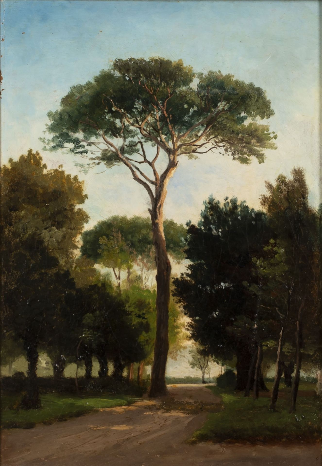 Giuseppe Haimann (Milano 1828-Alessandria d'Egitto 1883) - Botanical Garden in Cairo