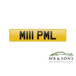 Registration - M111 PML