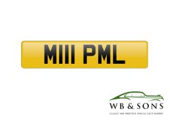 Registration - M111 PML