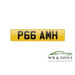 Registration - P66 AMH