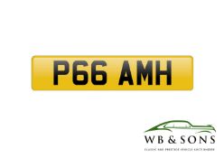 Registration - P66 AMH
