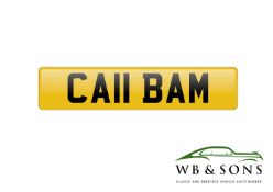 Registration - CA11 BAM