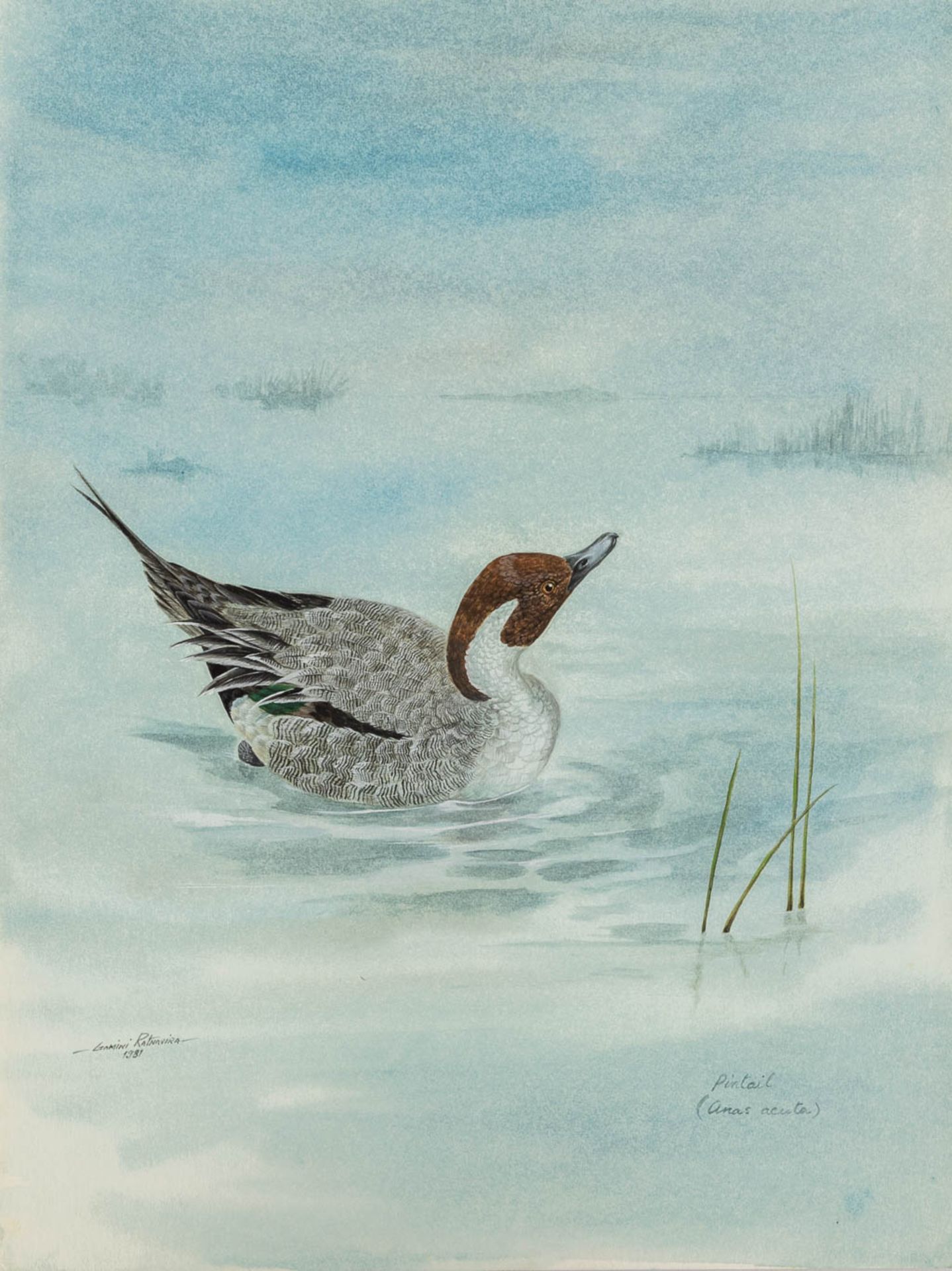 Gamini P. RATNAVIRA (1949) '20 unframed drawings' watercolour on paper. (W:27 x H:36 cm) - Image 14 of 40