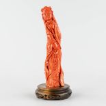 A finely sculptured red coral, image of an elegant lady. 19th C. 395g. (H:19,5 cm)