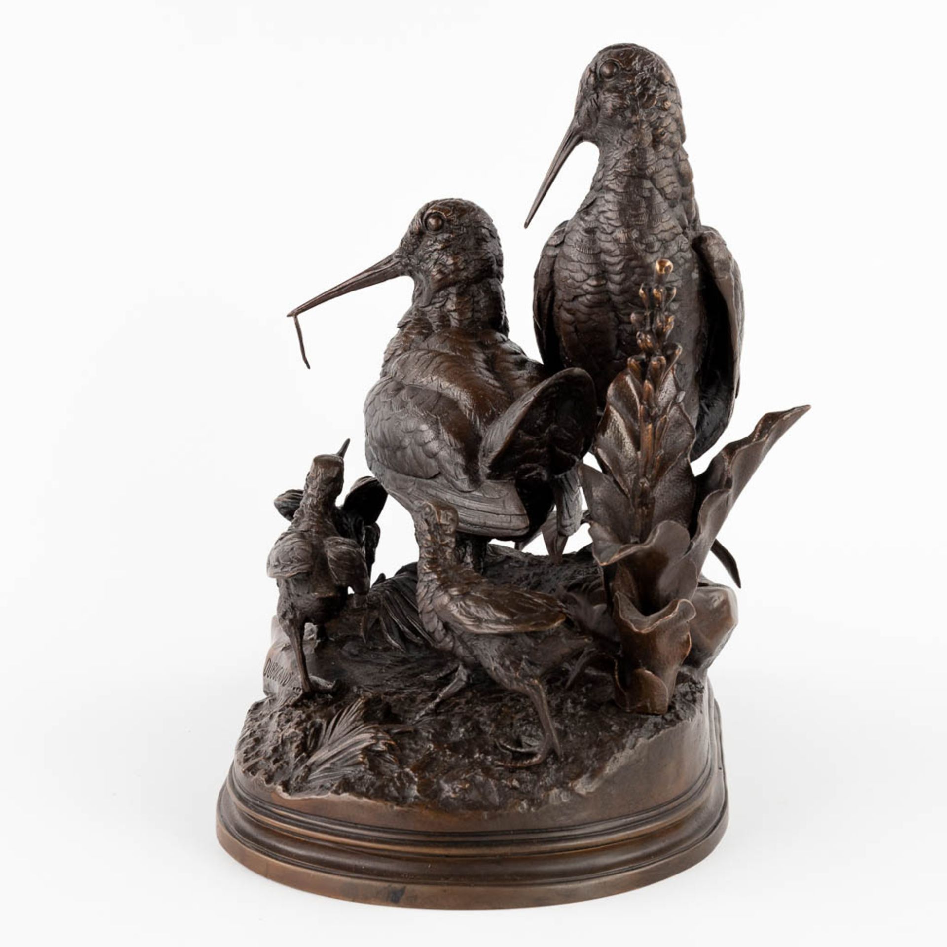 Alfred DUBUCAND (1828-1894) 'Woodcock with youngsters' patinated bronze. (L:26 x W:40 x H:36 cm) - Bild 6 aus 13