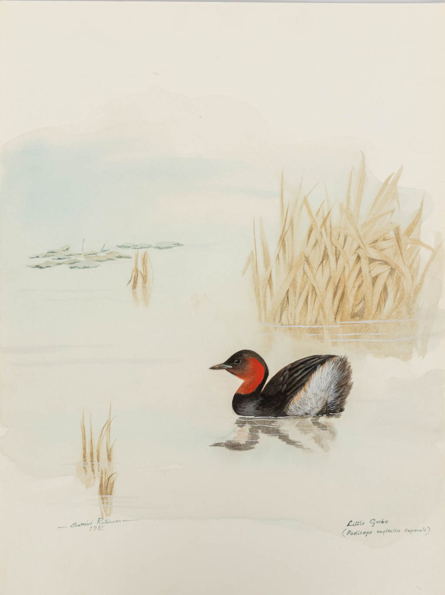 Gamini P. RATNAVIRA (1949) '20 unframed drawings' watercolour on paper. (W:27 x H:36 cm) - Image 16 of 40