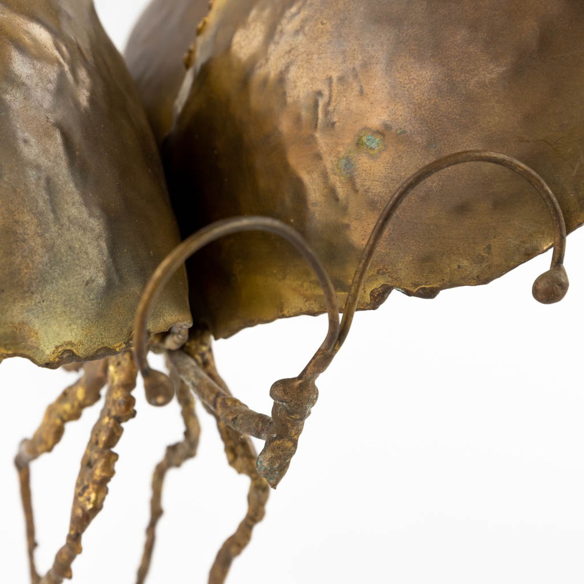 Daniel D'HAESELEER (XX) 'Insect' a brass sculpture. (L:20 x W:29 x H:25 cm) - Bild 11 aus 12