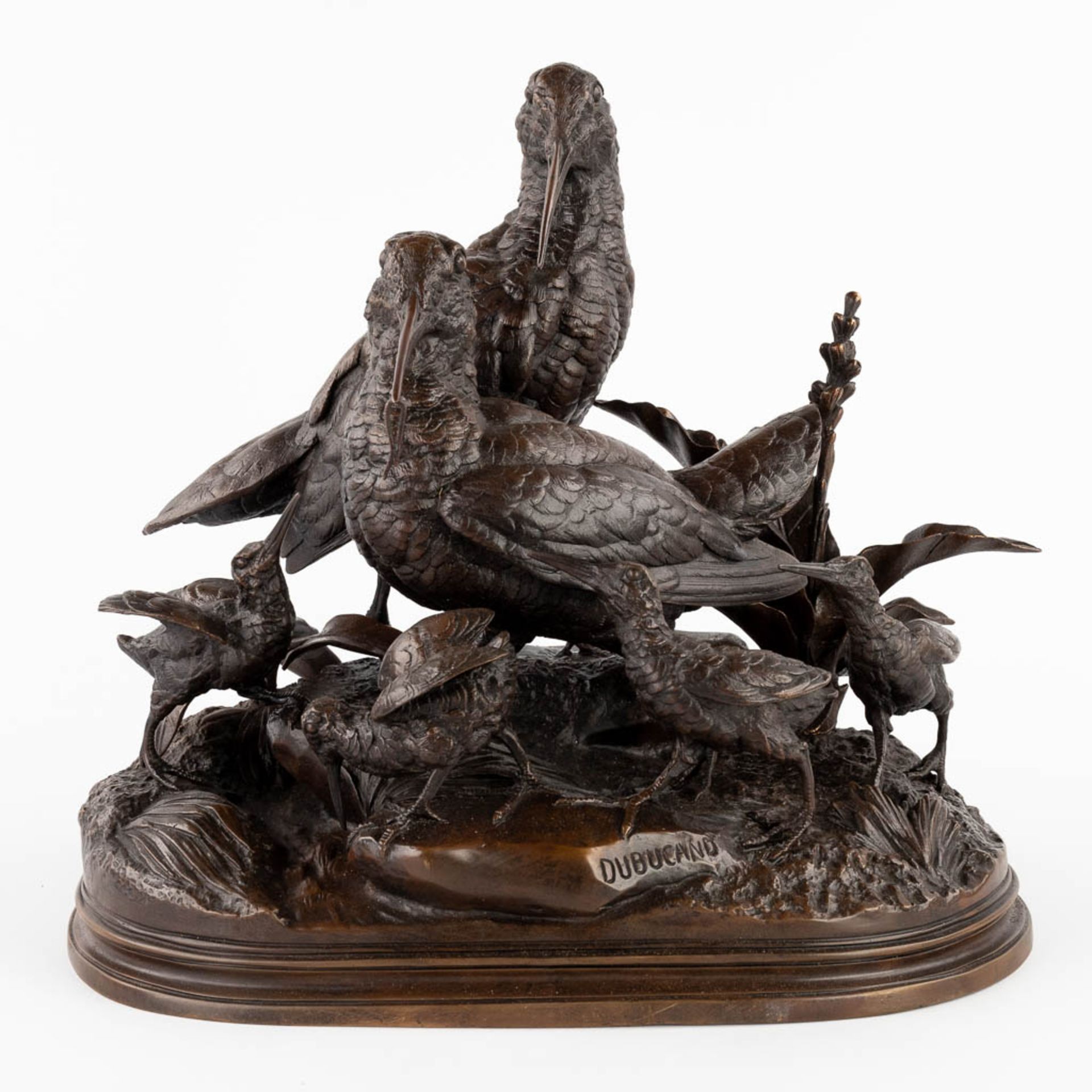 Alfred DUBUCAND (1828-1894) 'Woodcock with youngsters' patinated bronze. (L:26 x W:40 x H:36 cm)