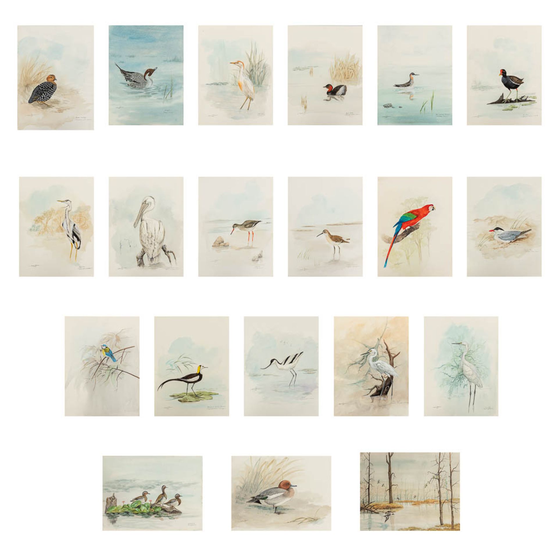 Gamini P. RATNAVIRA (1949) '20 unframed drawings' watercolour on paper. (W:27 x H:36 cm)