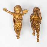 Two wood sculptured angels, finished with gilt stucco. 18th C. (L:20 x W:34 x H:43 cm)
