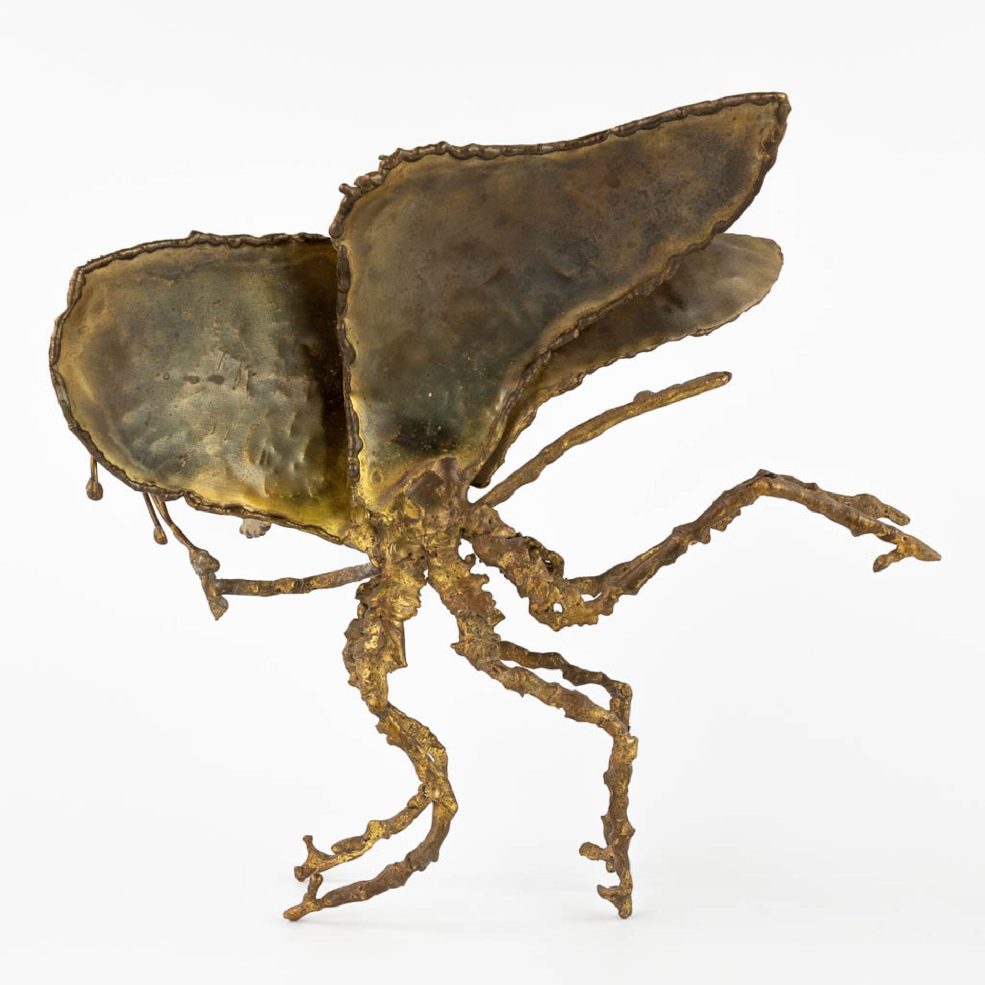 Daniel D'HAESELEER (XX) 'Insect' a brass sculpture. (L:20 x W:29 x H:25 cm) - Bild 5 aus 12