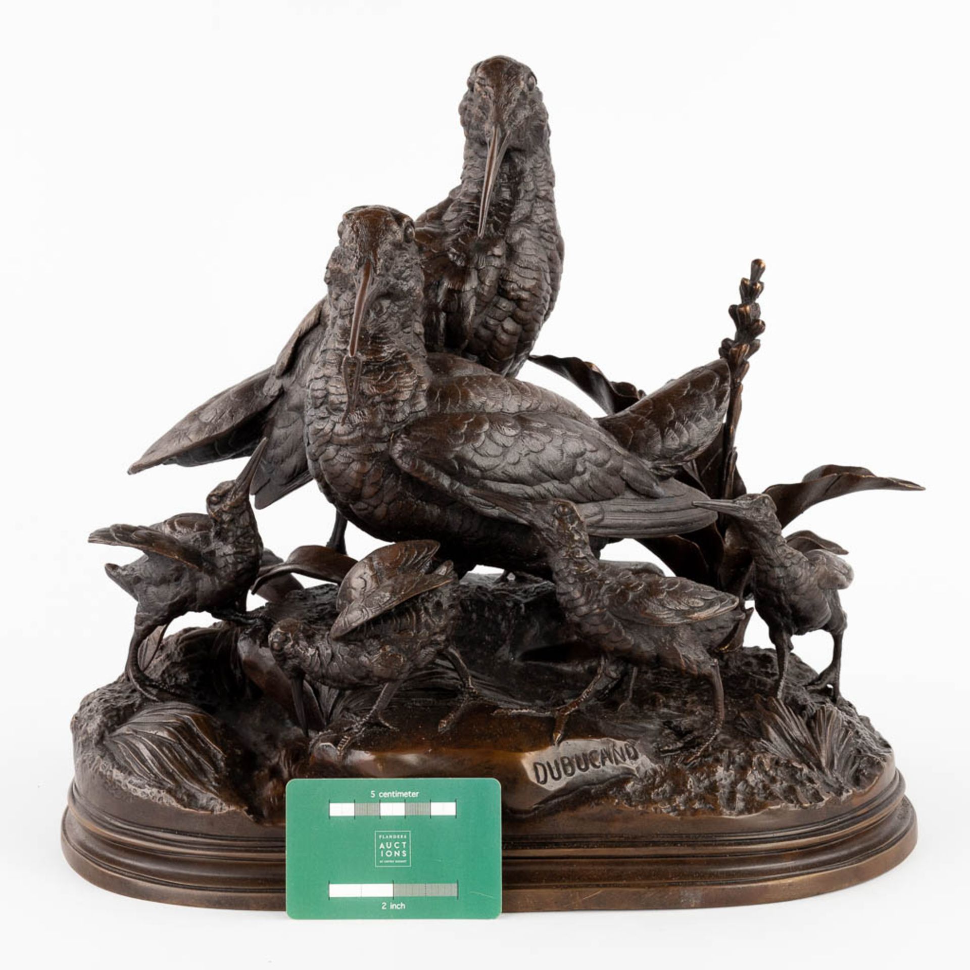 Alfred DUBUCAND (1828-1894) 'Woodcock with youngsters' patinated bronze. (L:26 x W:40 x H:36 cm) - Bild 2 aus 13