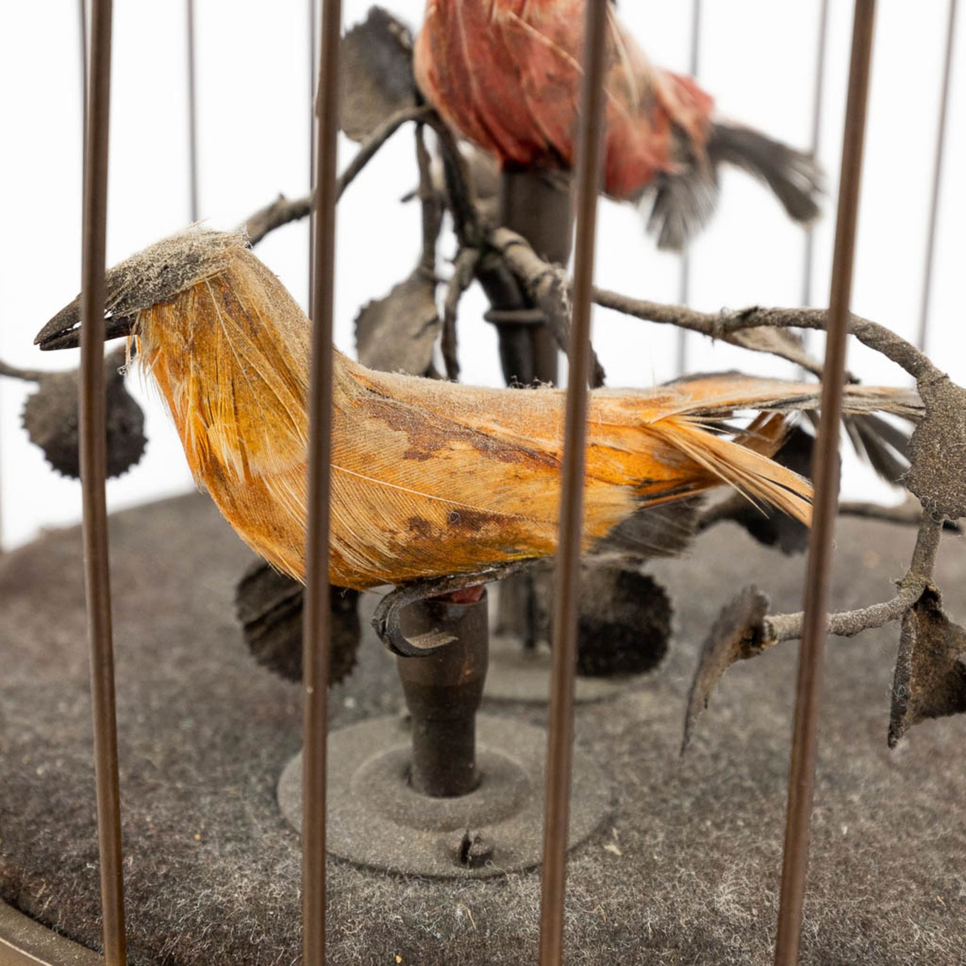 A bird cage automata with a music box. (H:28 x D:15,5 cm) - Image 8 of 12