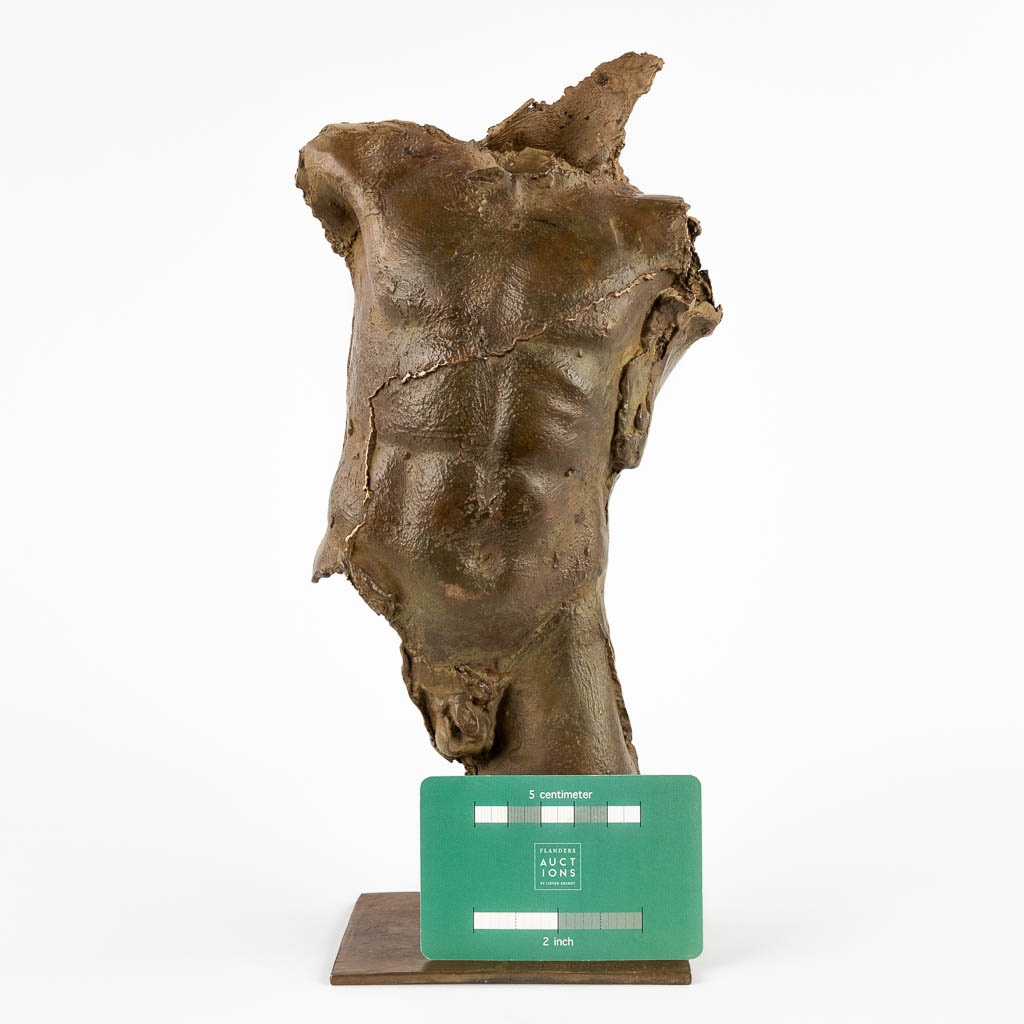 Jan DESMARETS (1961) 'Torso' patinated bronze, Epreuve D'Artiste (D:9 x W:14 x H:29 cm) - Image 2 of 13