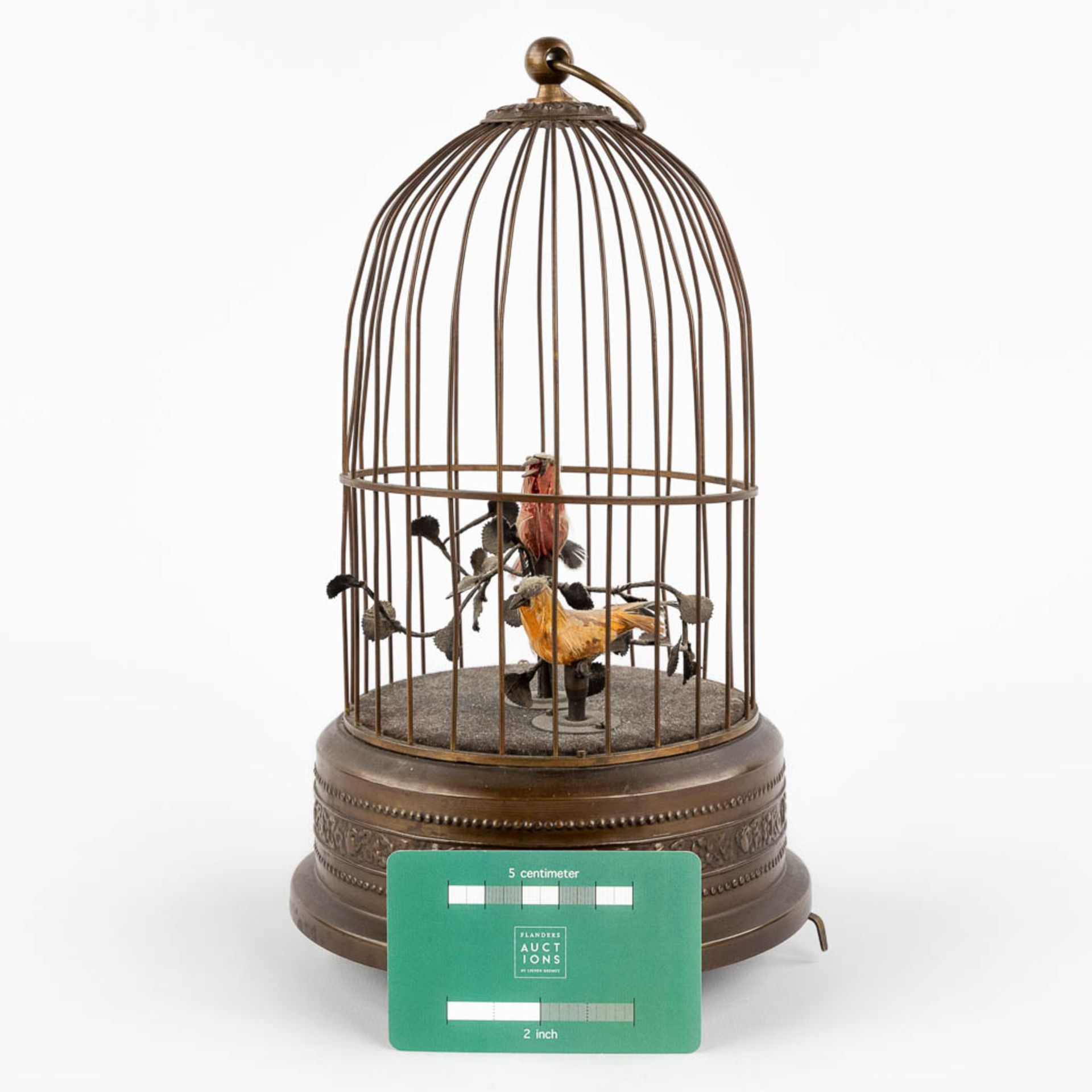 A bird cage automata with a music box. (H:28 x D:15,5 cm) - Image 2 of 12