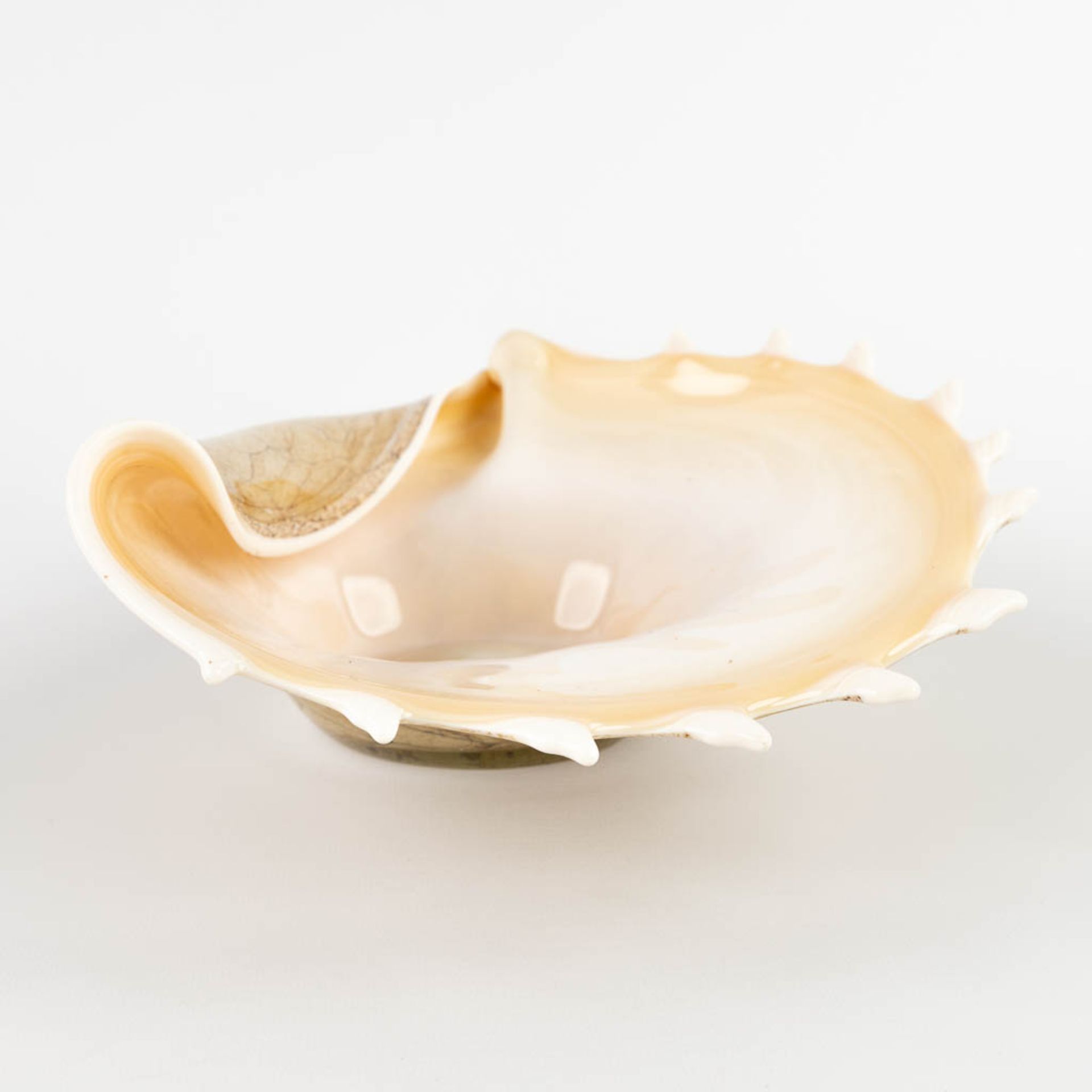 Two pieces of art glass, Sea shell and a bowl, Murano, Italy. (D:23 x W:34 x H:9,5 cm) - Bild 6 aus 14