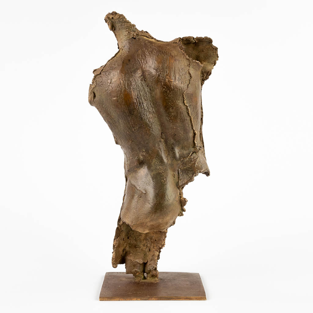 Jan DESMARETS (1961) 'Torso' patinated bronze, Epreuve D'Artiste (D:9 x W:14 x H:29 cm) - Image 6 of 13