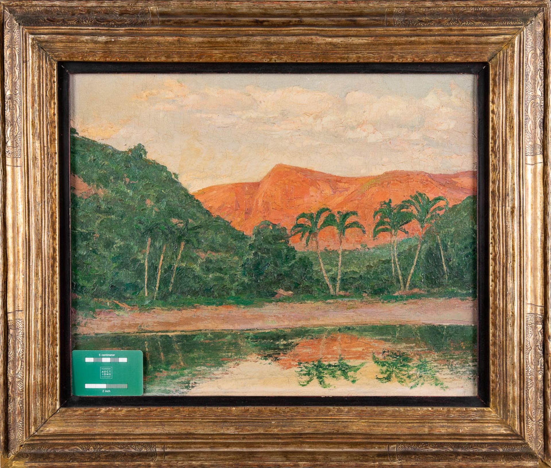 Aimé STEVENS (1879-1951) 'Rio Vermelho, Brésil' oil on canvas. (W:50 x H:40 cm) - Image 2 of 9