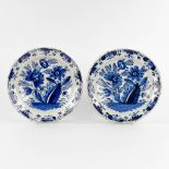 Delfts Faience, a pair of plates, 18th C. (D:31 cm)