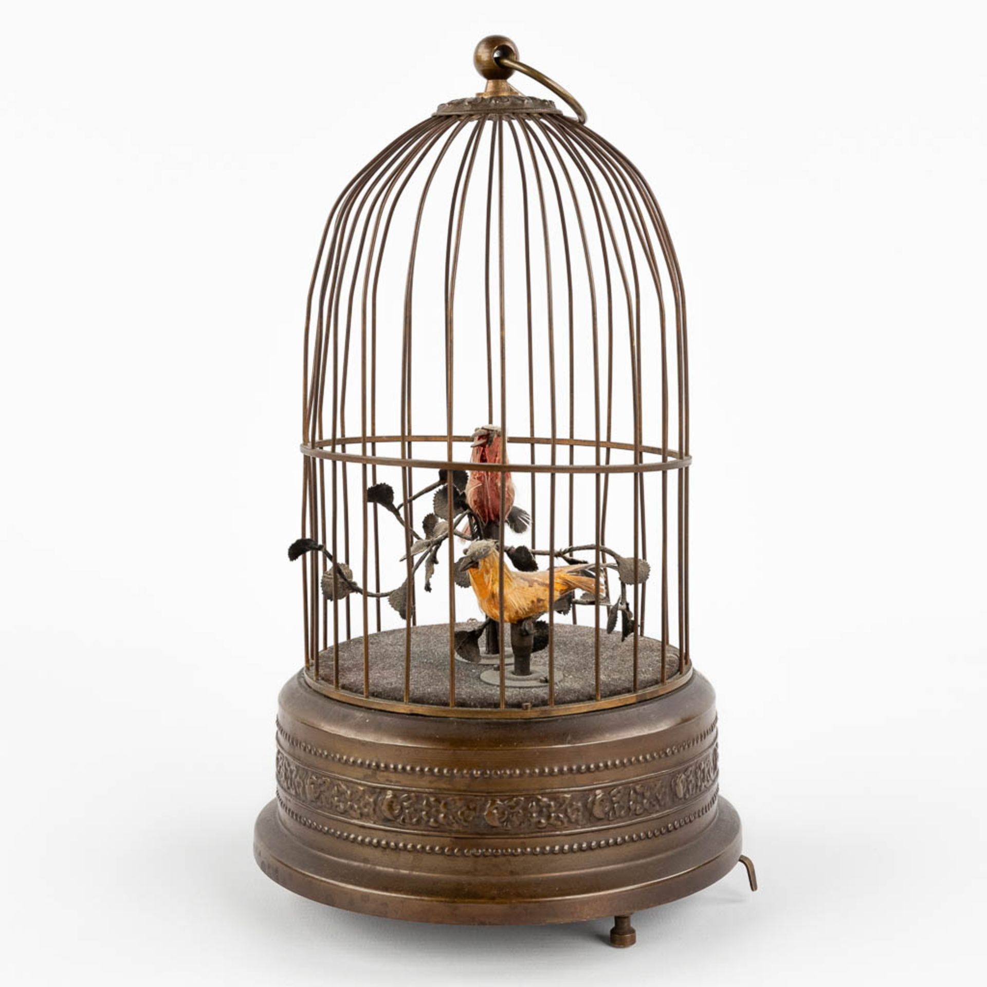 A bird cage automata with a music box. (H:28 x D:15,5 cm)