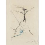 Salvador DALI (1904-1989) 'Don Quichote' an etching. 48/145. (W:15,5 x H:21 cm)