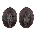 A pair of wall-mounted 'Hunting Trophies', patinated bronze mounted on wood. (D:7 x W:33 x H:46 cm)