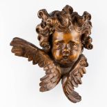 A wood-sculptured large head of an angel, Baroque style, 19th C. (D:27 x W:42 x H:48 cm)