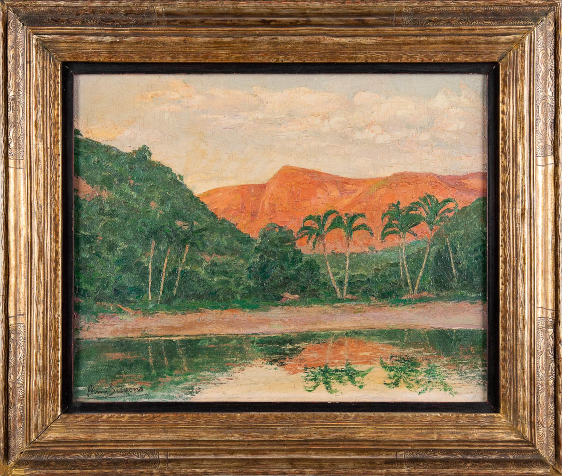 Aimé STEVENS (1879-1951) 'Rio Vermelho, Brésil' oil on canvas. (W:50 x H:40 cm) - Image 3 of 9