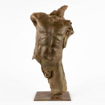 Jan DESMARETS (1961) 'Torso' patinated bronze, Epreuve D'Artiste (D:9 x W:14 x H:29 cm)