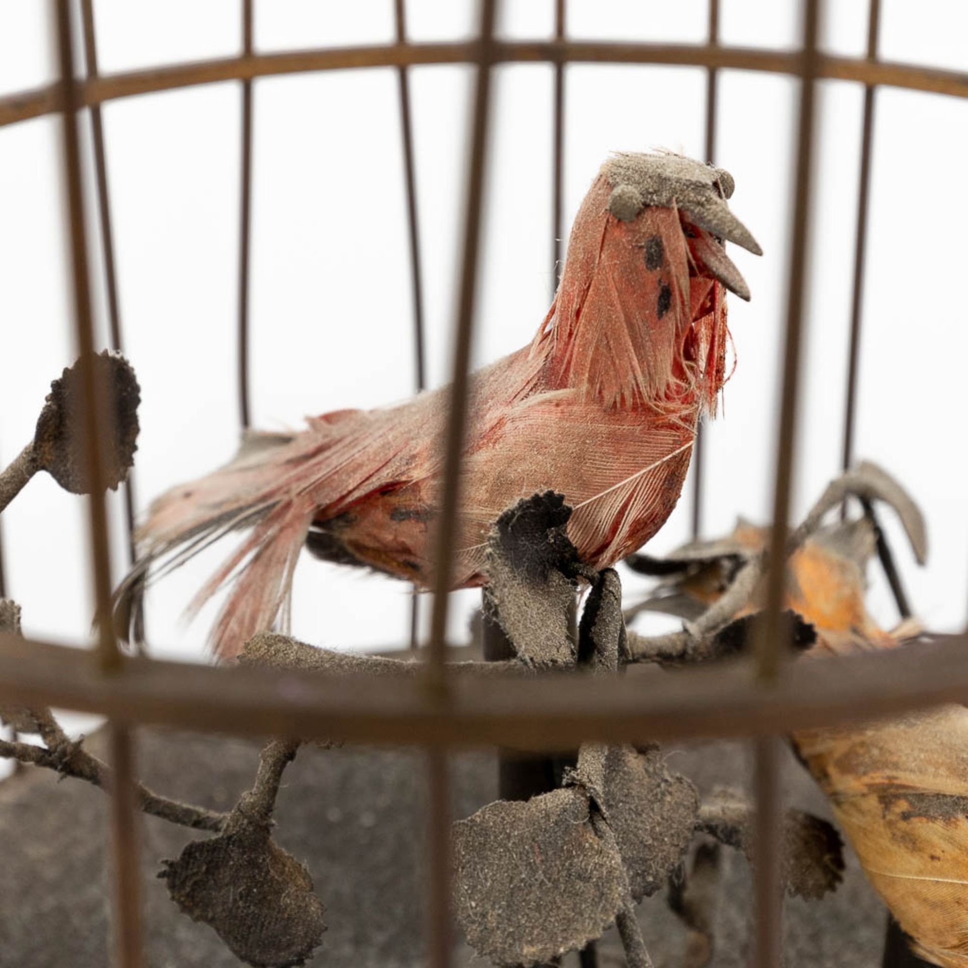 A bird cage automata with a music box. (H:28 x D:15,5 cm) - Image 7 of 12