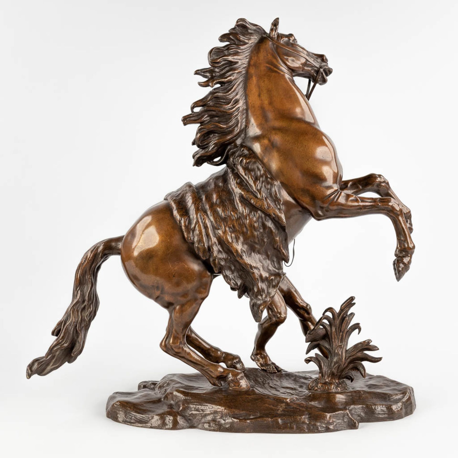 Guillaume I COUSTOU (1677-1746)(after), 'Marly horse' patinated bronze. (D:26 x W:56 x H:58 cm) - Image 6 of 12