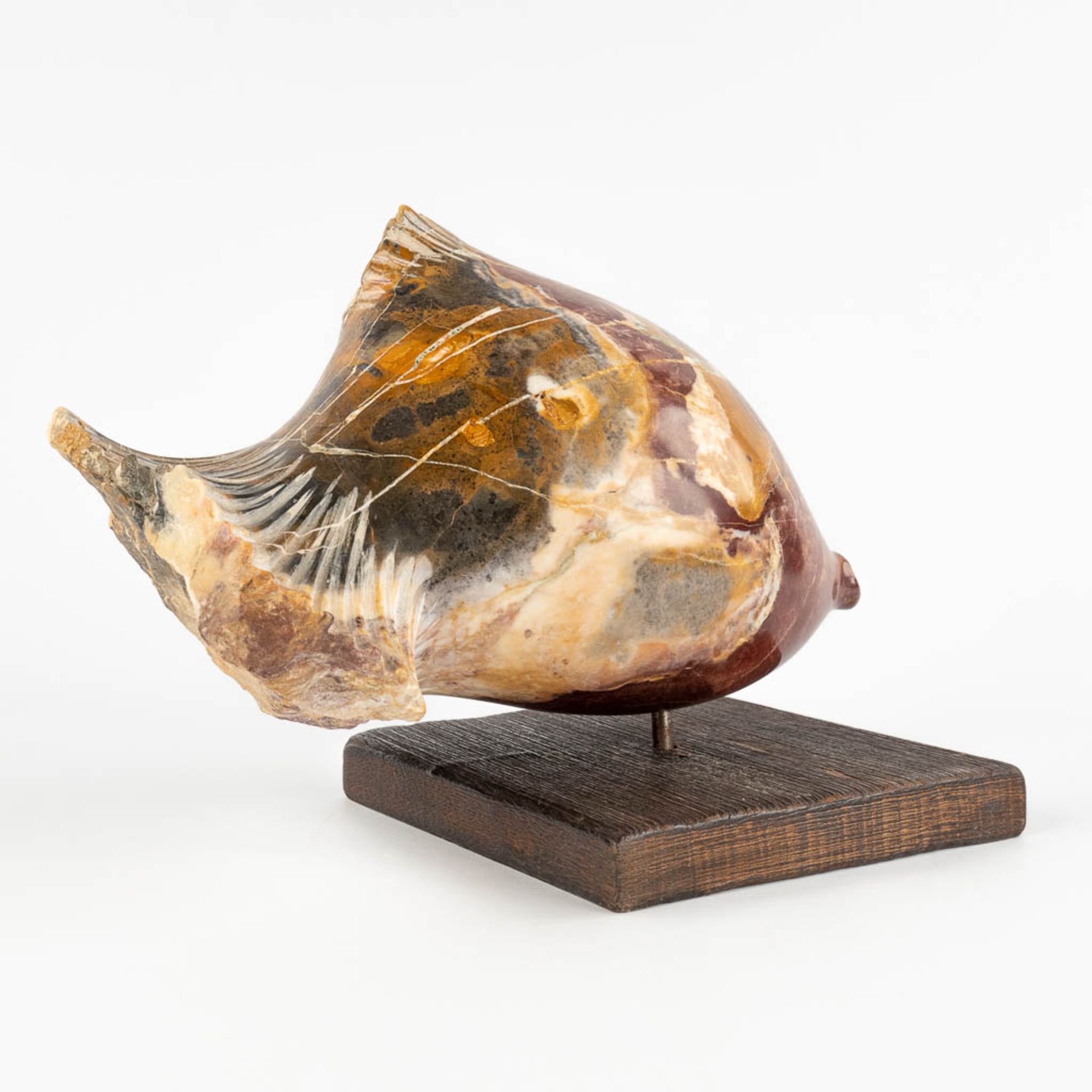 Lucien GHOMRI (1949) 'Fish' sculptured marble. (D:19 x W:32 x H:24 cm) - Bild 9 aus 14