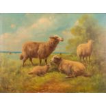 Paul SCHOUTEN (1860-1922) 'Sheep in a field' oil on canvas. (W:60 x H:45 cm)