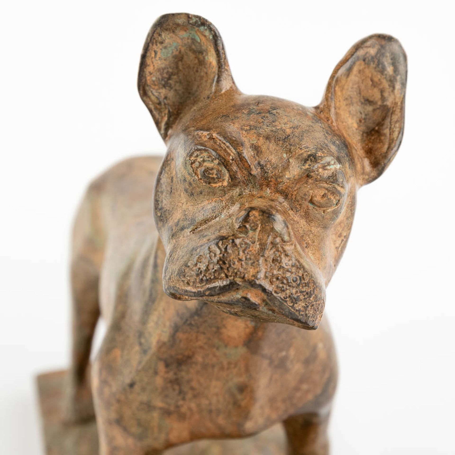 Pierre CHENET (XX-XXI) 'Bulldog' patinated bronze. (D:9 x W:20 x H:15 cm) - Image 9 of 10