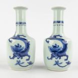 A pair of Chinese vases with a blue-white dragon decor. Kangxi mark, circa 1900. (H:20 x D:10 cm)