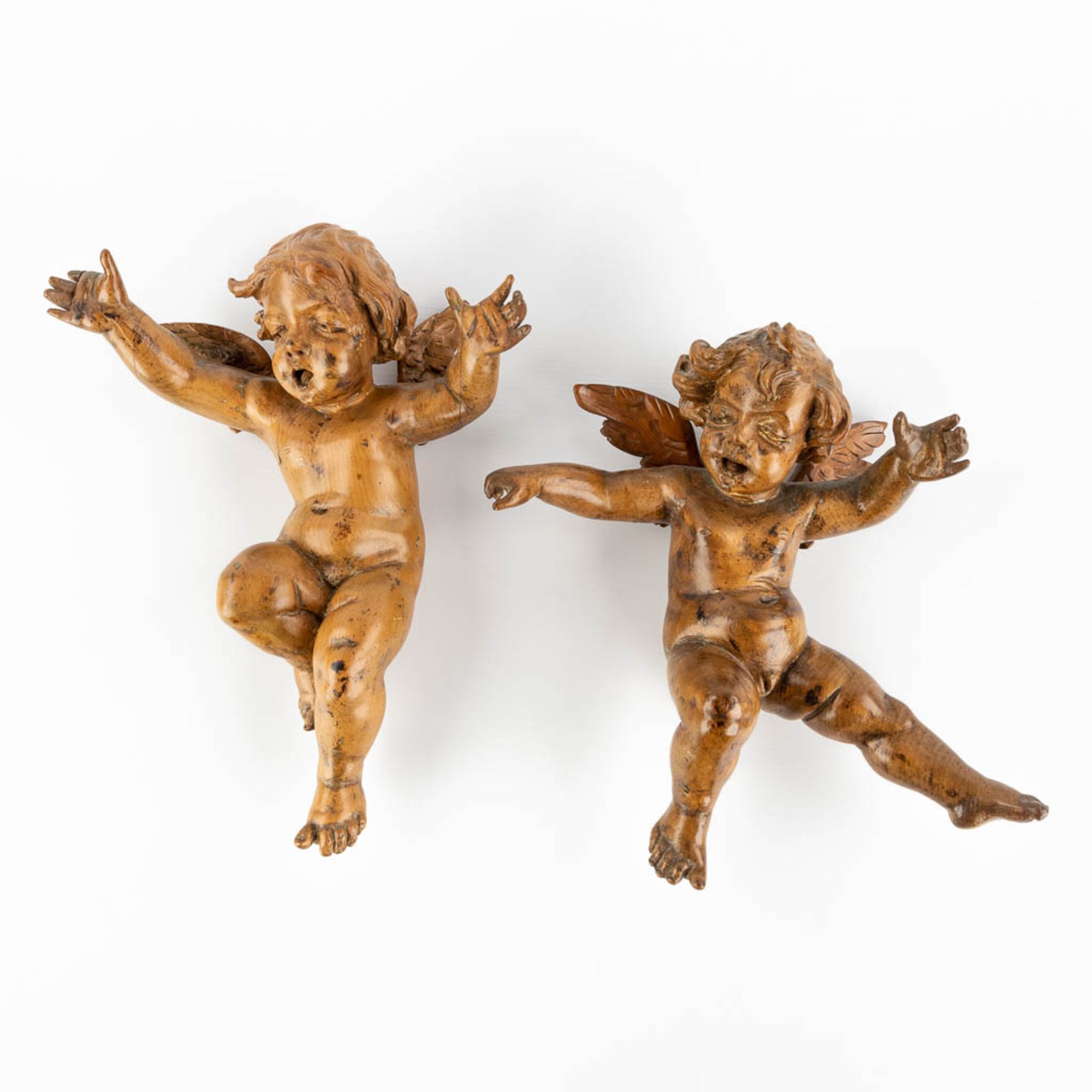 A pair of wood-sculptured putti, basswood, 18th C. (W:22 x H:30 cm)