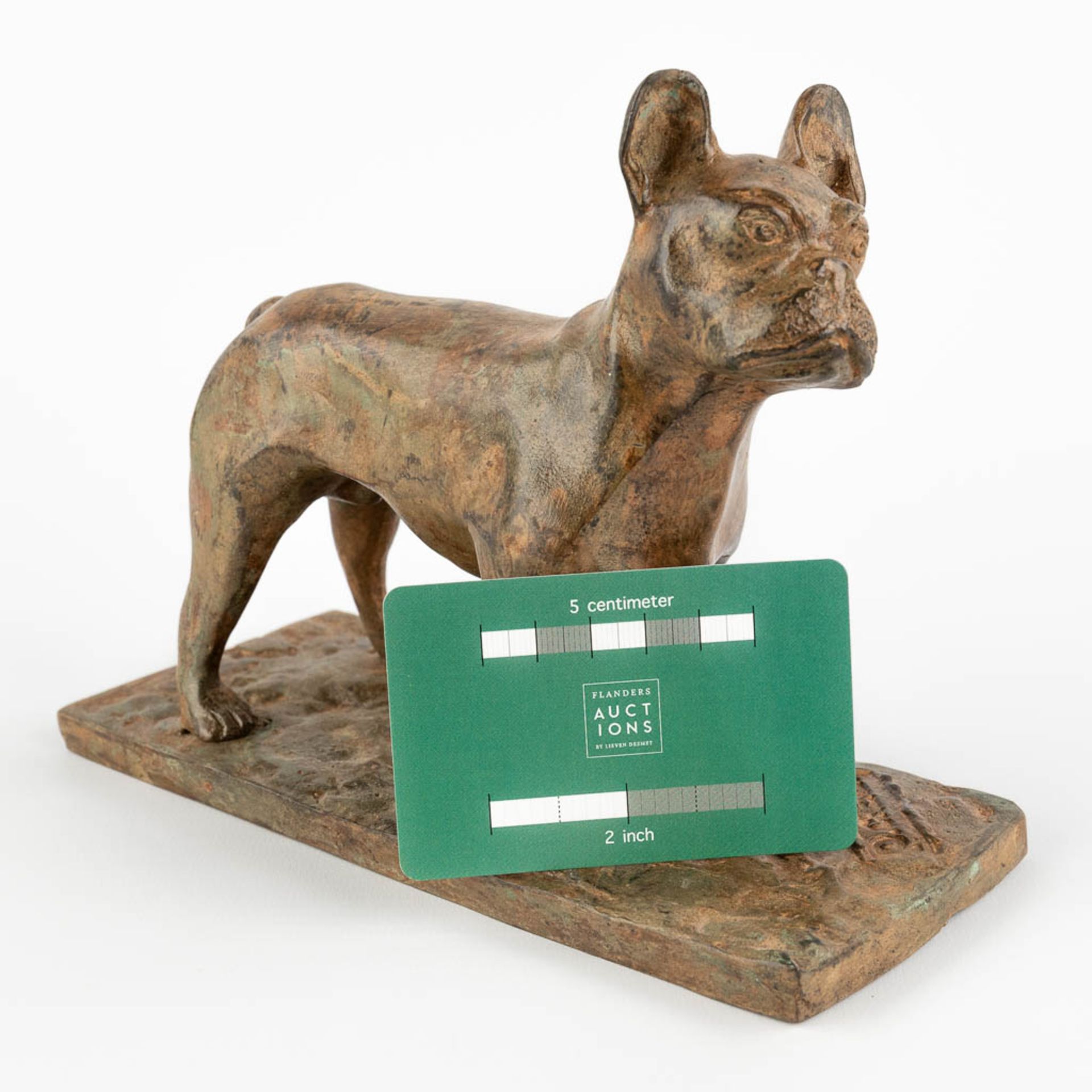 Pierre CHENET (XX-XXI) 'Bulldog' patinated bronze. (D:9 x W:20 x H:15 cm) - Image 2 of 10